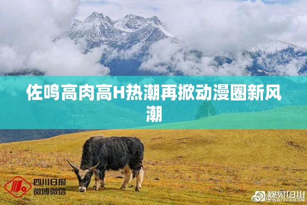 佐鸣高肉高H热潮再掀动漫圈新风潮
