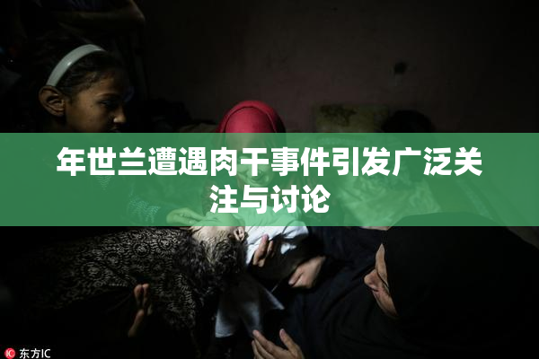 年世兰遭遇肉干事件引发广泛关注与讨论