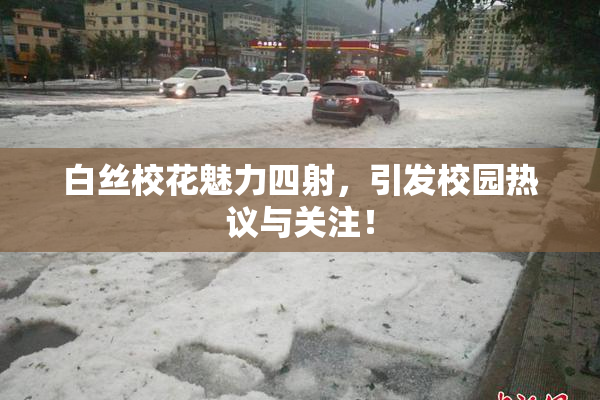 白丝校花魅力四射，引发校园热议与关注！
