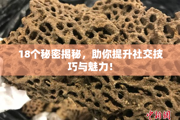 18个秘密揭秘，助你提升社交技巧与魅力！