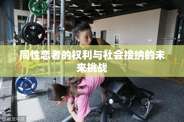同性恋者的权利与社会接纳的未来挑战