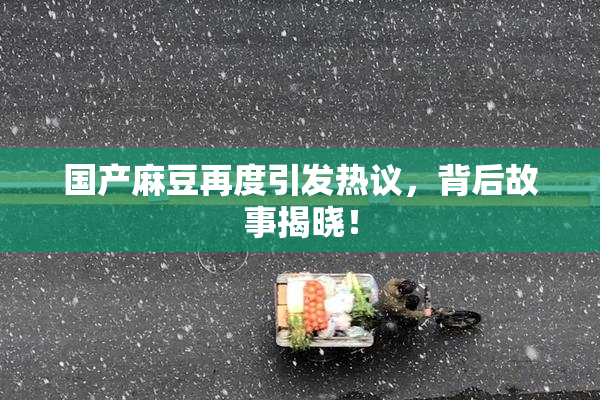国产麻豆再度引发热议，背后故事揭晓！