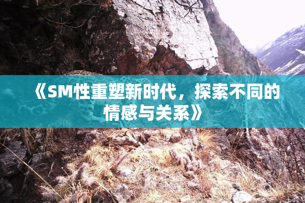 《SM性重塑新时代，探索不同的情感与关系》