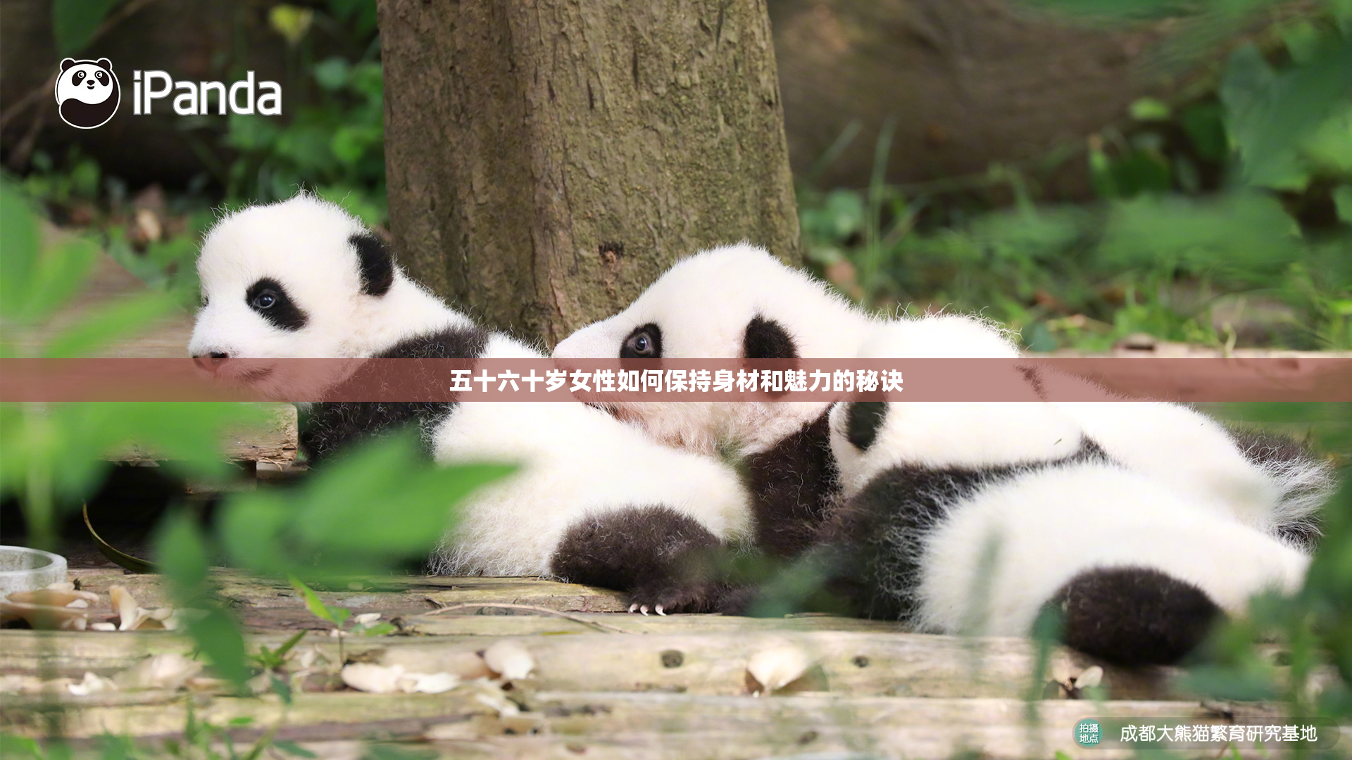 五十六十岁女性如何保持身材和魅力的秘诀