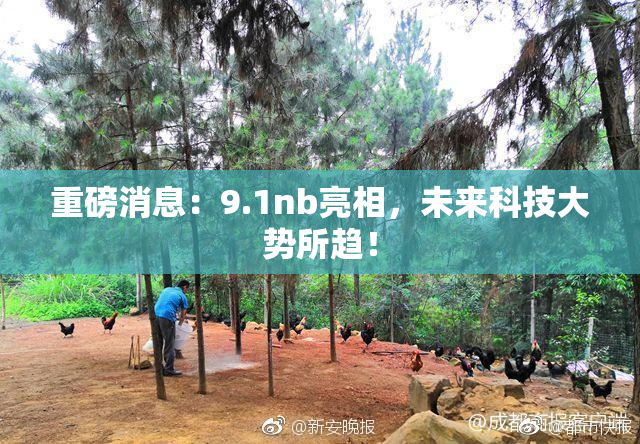 重磅消息：9.1nb亮相，未来科技大势所趋！
