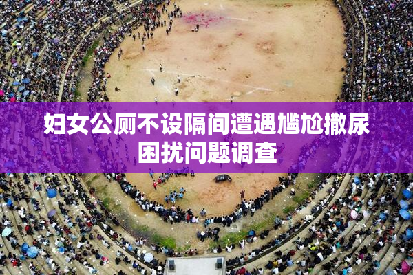 妇女公厕不设隔间遭遇尴尬撒尿困扰问题调查