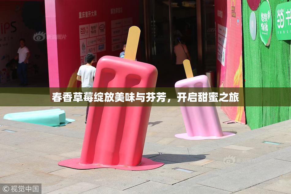 春香草莓绽放美味与芬芳，开启甜蜜之旅