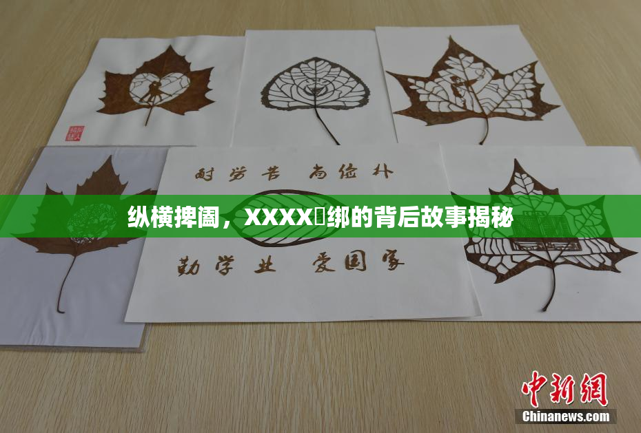 纵横捭阖，XXXX秵绑的背后故事揭秘