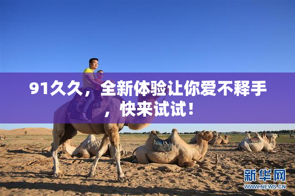 91久久，全新体验让你爱不释手，快来试试！