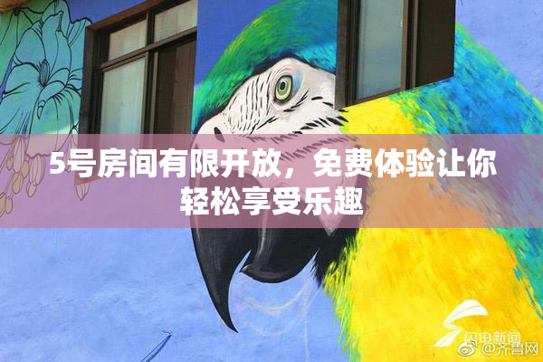 5号房间有限开放，免费体验让你轻松享受乐趣