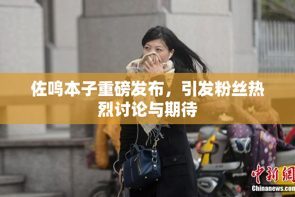佐鸣本子重磅发布，引发粉丝热烈讨论与期待