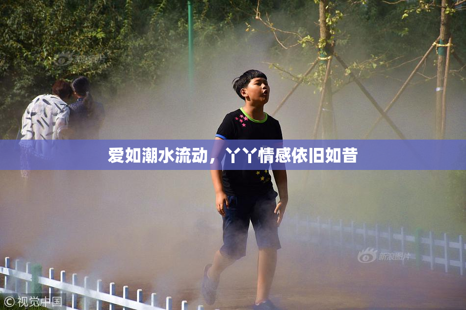 爱如潮水流动，丫丫情感依旧如昔