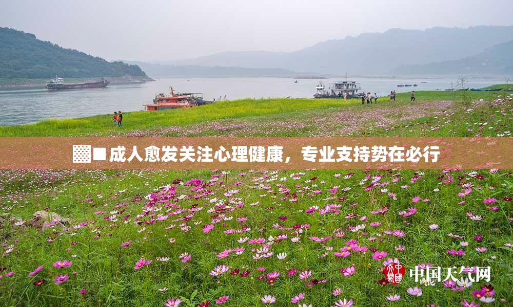 ▓■成人愈发关注心理健康，专业支持势在必行