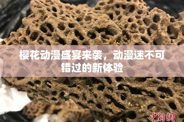 樱花动漫盛宴来袭，动漫迷不可错过的新体验