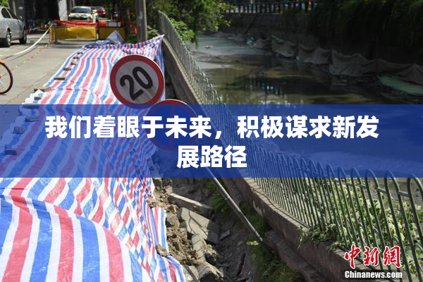 我们着眼于未来，积极谋求新发展路径