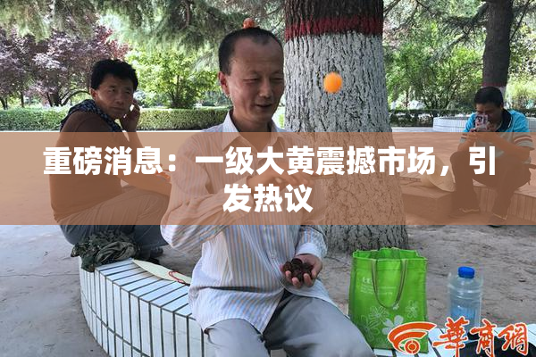 重磅消息：一级大黄震撼市场，引发热议
