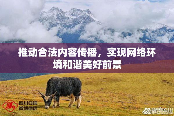 推动合法内容传播，实现网络环境和谐美好前景