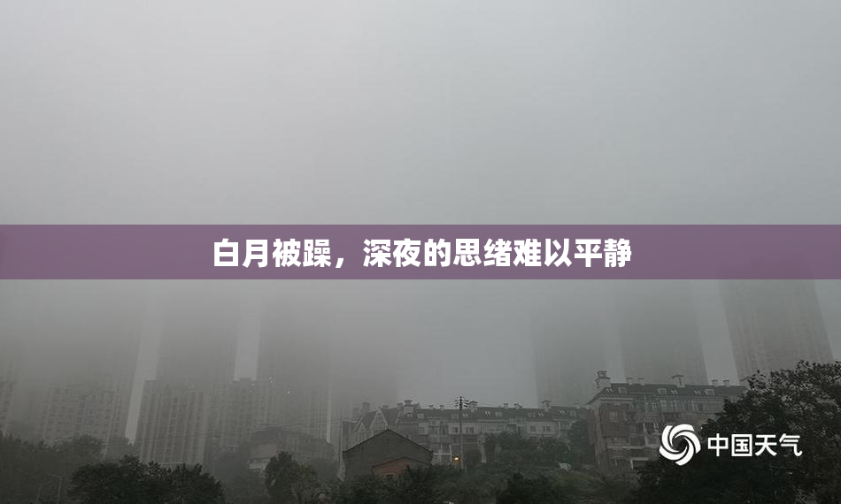 白月被躁，深夜的思绪难以平静