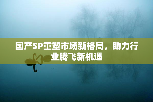国产SP重塑市场新格局，助力行业腾飞新机遇