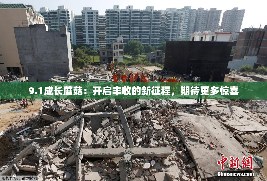 9.1成长蘑菇：开启丰收的新征程，期待更多惊喜