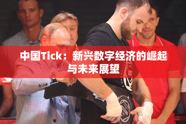 中国Tick：新兴数字经济的崛起与未来展望