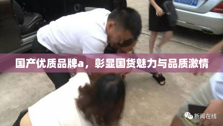 国产优质品牌a，彰显国货魅力与品质激情