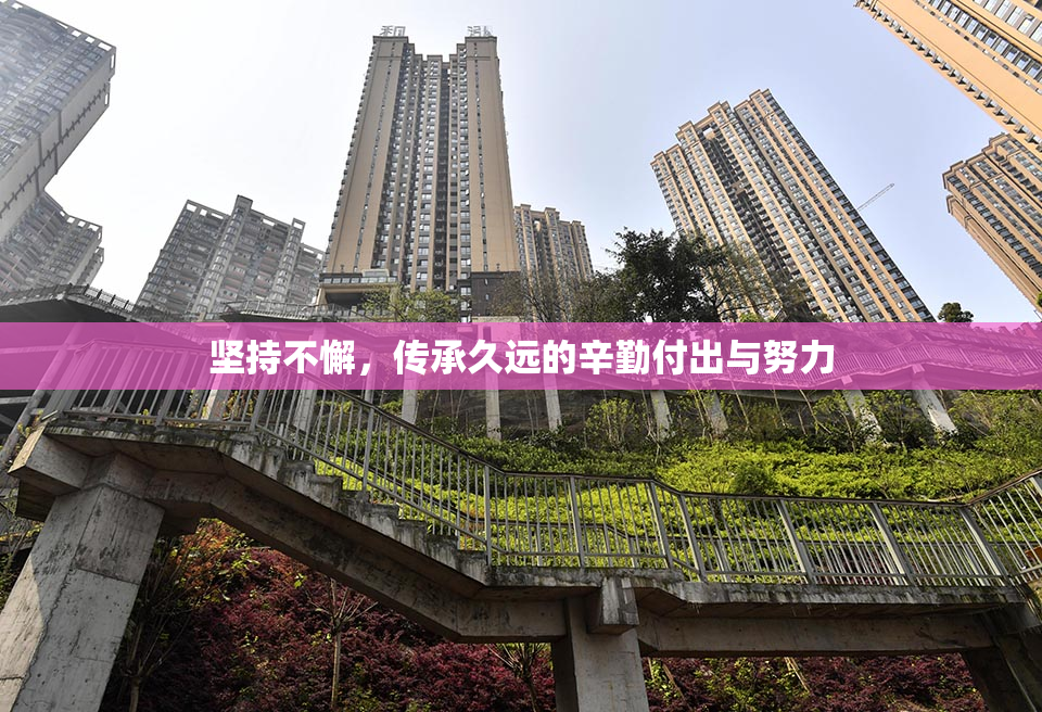 坚持不懈，传承久远的辛勤付出与努力