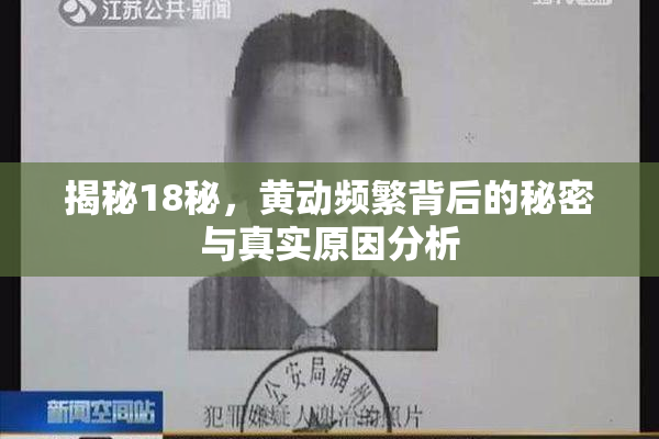 揭秘18秘，黄动频繁背后的秘密与真实原因分析