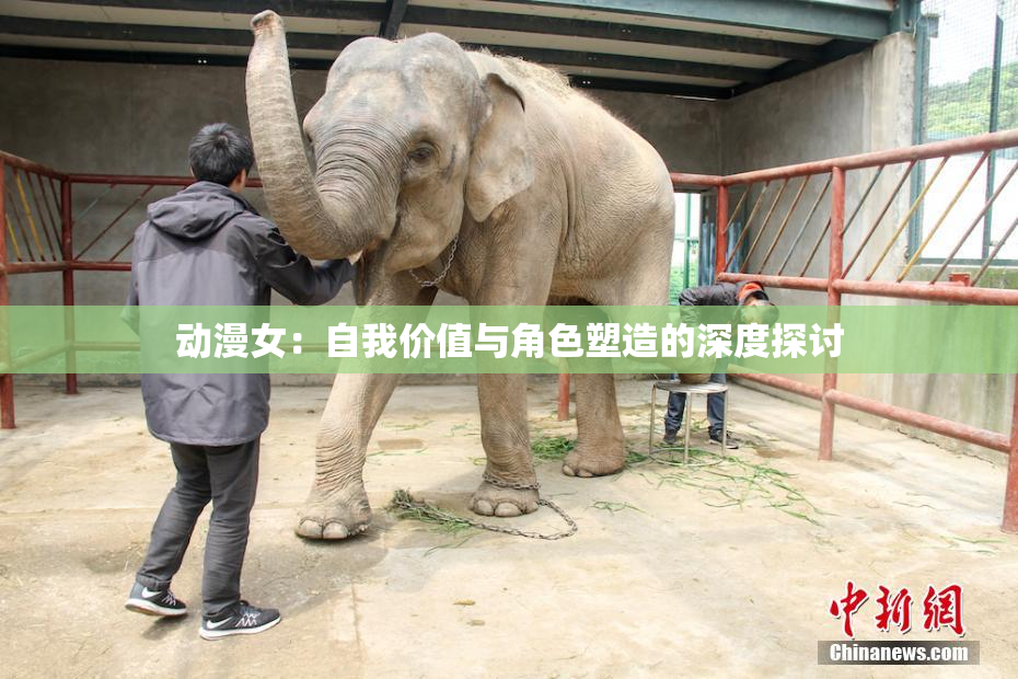 动漫女：自我价值与角色塑造的深度探讨