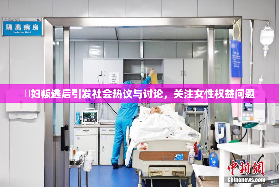 婬妇叛逃后引发社会热议与讨论，关注女性权益问题