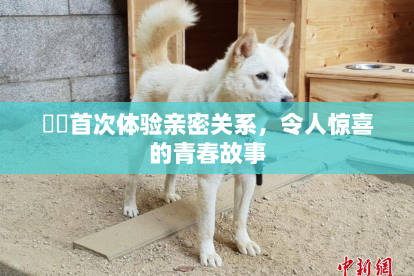 妺妺首次体验亲密关系，令人惊喜的青春故事