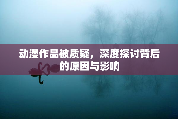 动漫作品被质疑，深度探讨背后的原因与影响