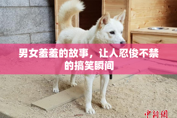 男女羞羞的故事，让人忍俊不禁的搞笑瞬间