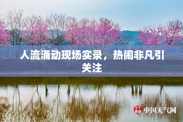 人流涌动现场实录，热闹非凡引关注