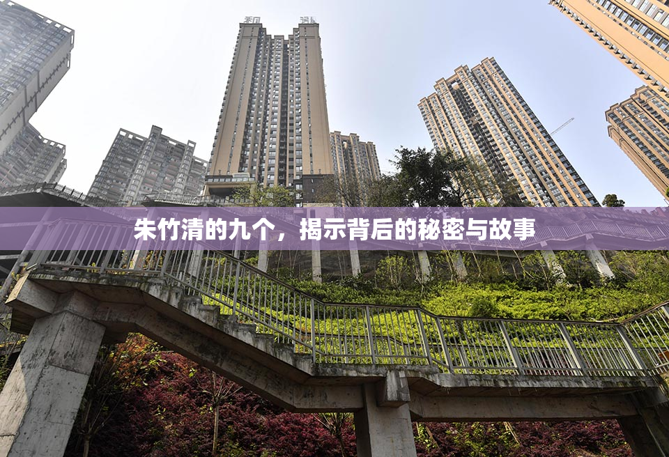 朱竹清的九个，揭示背后的秘密与故事