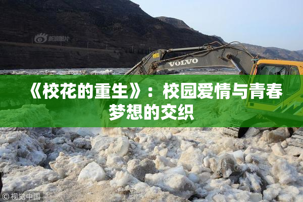 《校花的重生》：校园爱情与青春梦想的交织