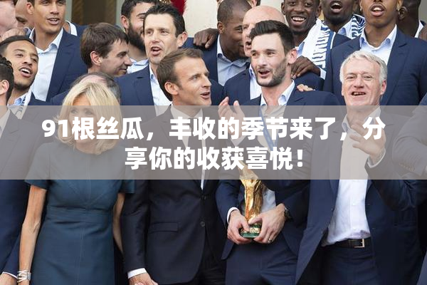 91根丝瓜，丰收的季节来了，分享你的收获喜悦！