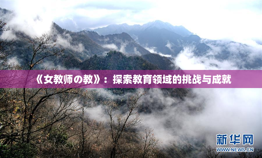《女教师の教》：探索教育领域的挑战与成就