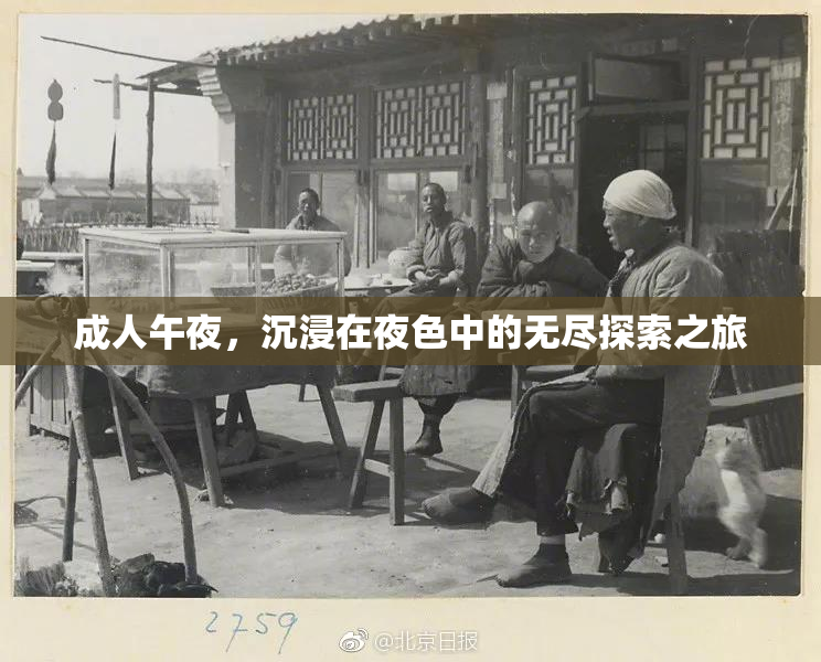 成人午夜，沉浸在夜色中的无尽探索之旅