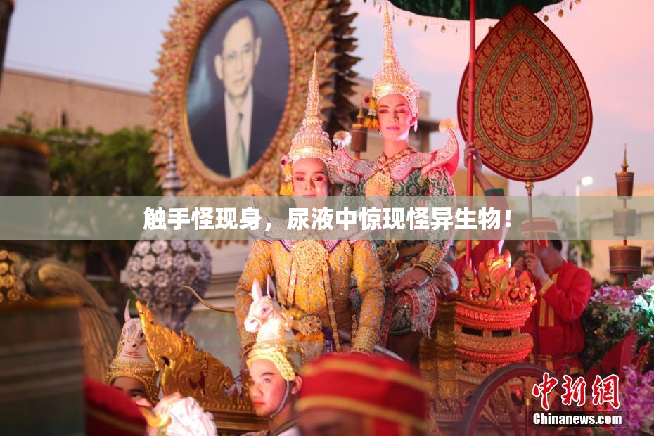 触手怪现身，尿液中惊现怪异生物！
