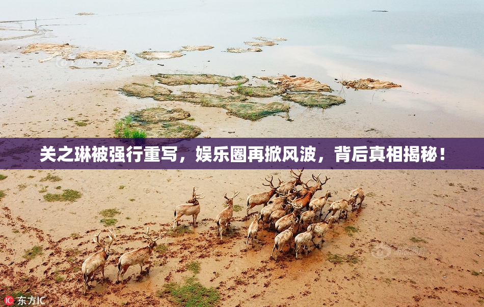 关之琳被强行重写，娱乐圈再掀风波，背后真相揭秘！