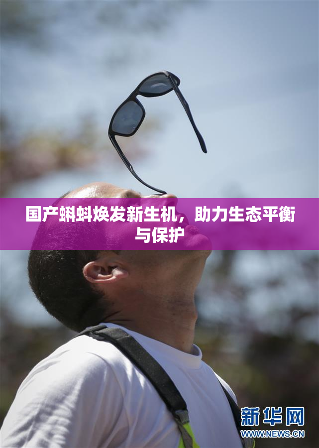 国产蝌蚪焕发新生机，助力生态平衡与保护