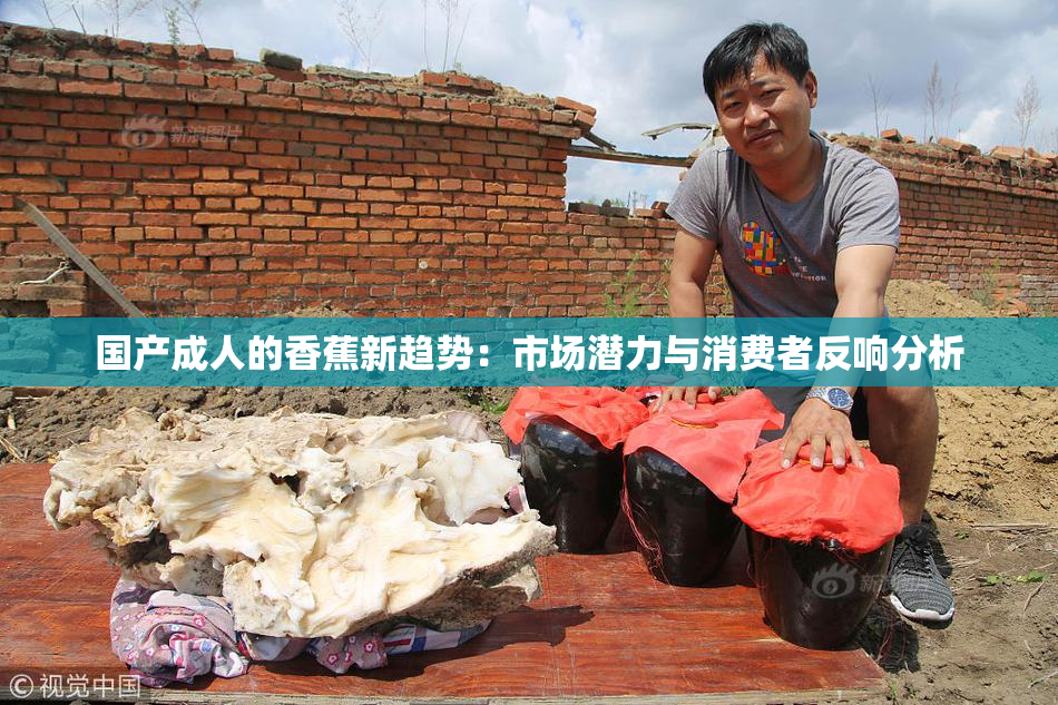国产成人的香蕉新趋势：市场潜力与消费者反响分析