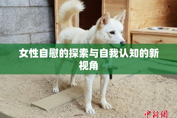 女性自慰的探索与自我认知的新视角