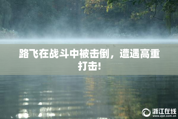 路飞在战斗中被击倒，遭遇高重打击!