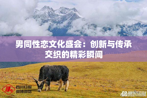 男同性恋文化盛会：创新与传承交织的精彩瞬间