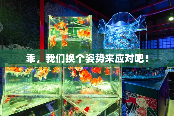 乖，我们换个姿势来应对吧！