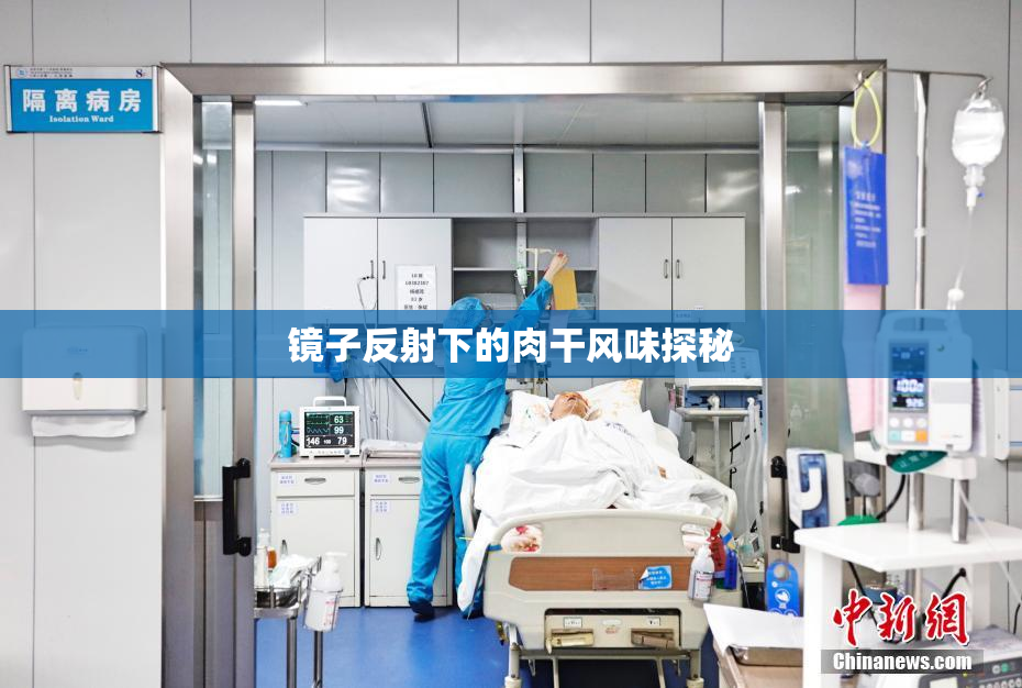 镜子反射下的肉干风味探秘