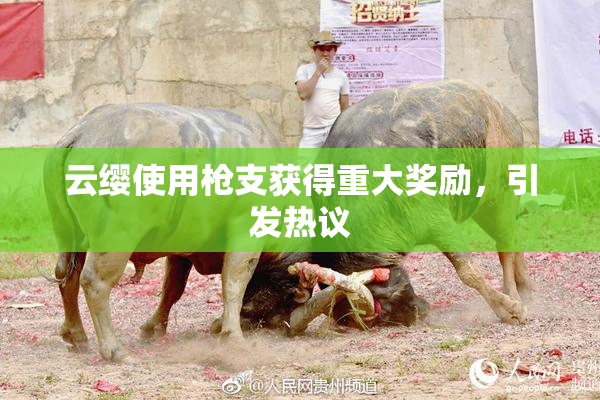 云缨使用枪支获得重大奖励，引发热议