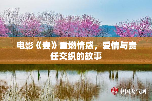 电影《妻》重燃情感，爱情与责任交织的故事